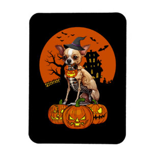 Ímã Chihuahua Dog Halloween