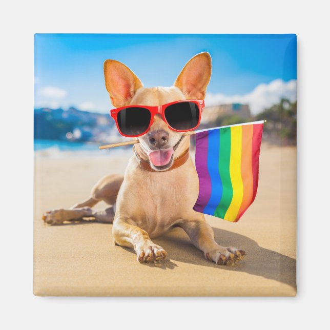 Imã Chihuahua Dog na praia (Frente)