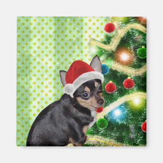 Imã Chihuahua Felry Magnet de Natal