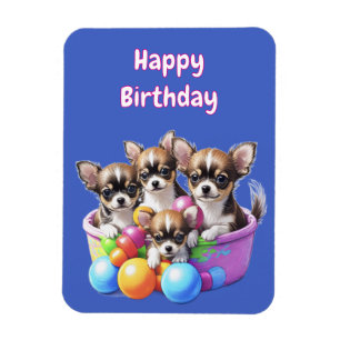 Ímã Chihuahua filhotes engraçados