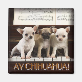 Imã Chihuahua Magnet