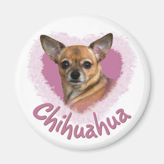 Imã Chihuahua Magnet (Frente)
