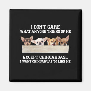 Imã Chihuahua Não me importo com o que pensam de mim