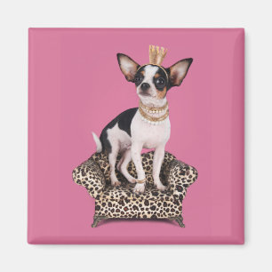 Imã Chihuahua Princess