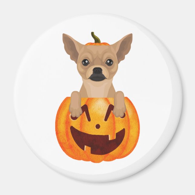 Imã Chihuahua Pumpkin (Frente)