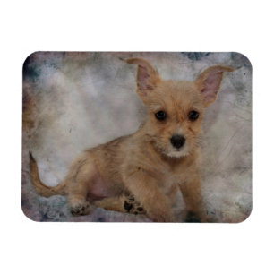 Ímã Chihuahua/Yorkie Puppy