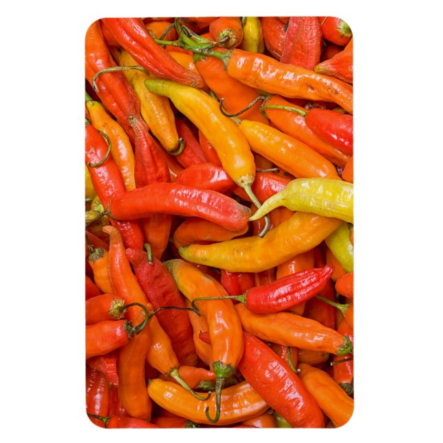 Ímã Chili (Vertical)