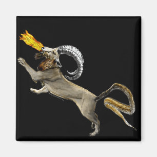 Imã Chimera