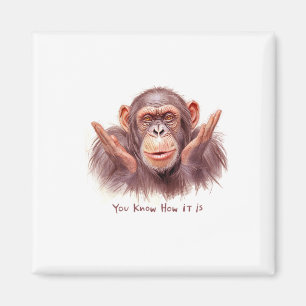 Imã Chimp Dizendo:"Você Sabe Como É"