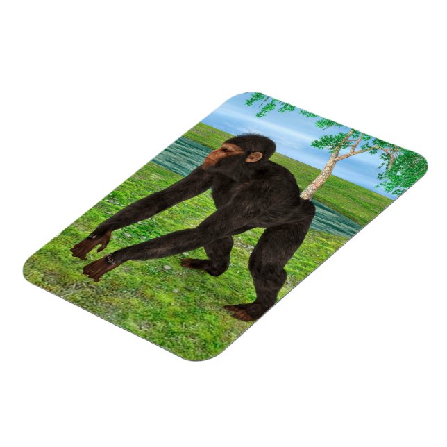 Ímã Chimpanzé (Left Side)
