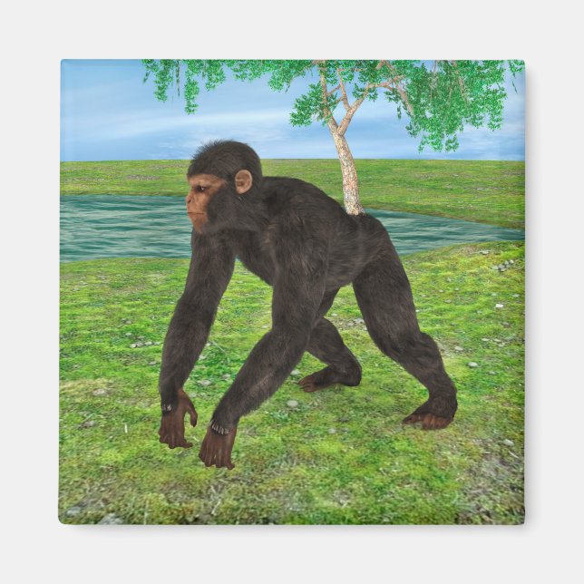 Imã Chimpanzé (Frente)