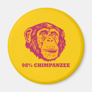 Imã Chimpanzé de 98%