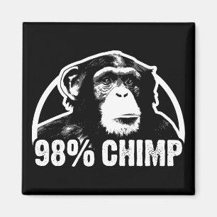Imã Chimpanzé de 98 por cento