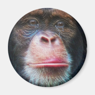 Imã CHIMPANZEE FACE Primate Willife Art Magnet