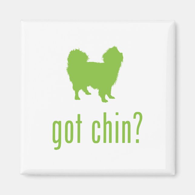 Imã Chin Japonês (Frente)