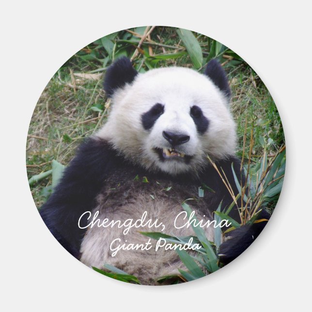 Imã China, Chengdu, Giant Panda (Magnet) (Frente)