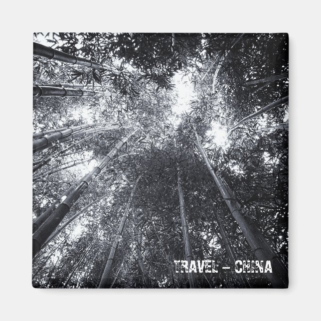 Imã China, Floresta de Bambu (Imã de geladeira) (Frente)