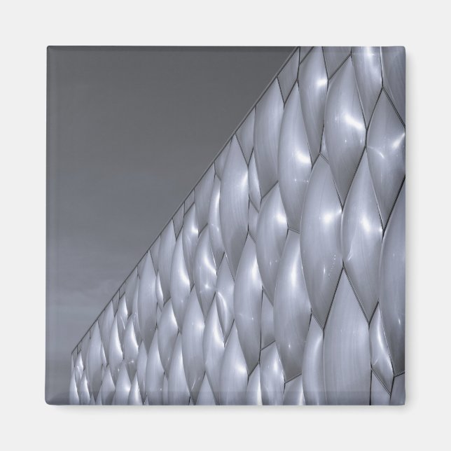 Imã China, Pequim. Centro Aquático Nacional (Frente)