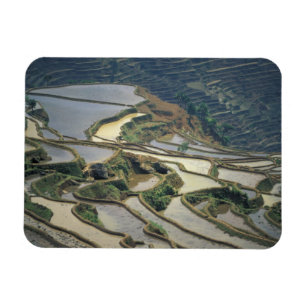 Ímã China, Província de Yunnan. Terraços de arroz inun