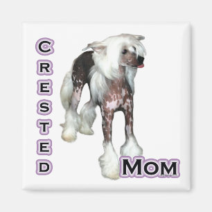 Imã Chinês Crested Mãe 4 - Magnet