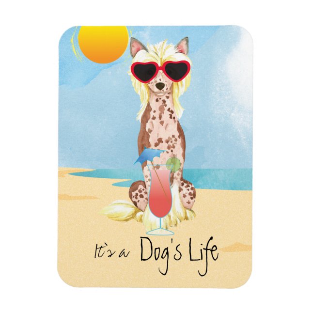 Ímã Chinês de Verão (Vertical)