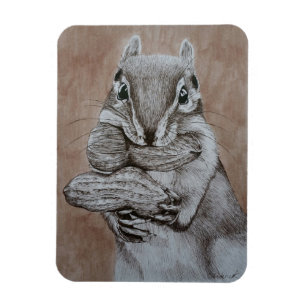 Ímã Chipmunk