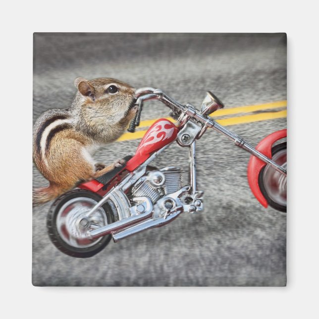 Imã Chipmunk Biker dirigindo uma moto (Frente)