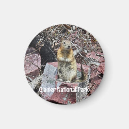 Imã Chipmunk no Parque Nacional Glacier