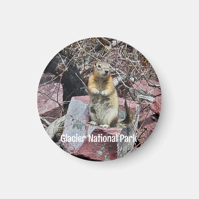 Imã Chipmunk no Parque Nacional Glacier (Frente)