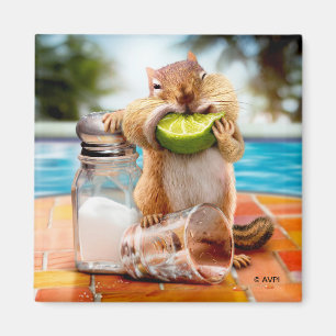 Imã Chipmunk With Lime