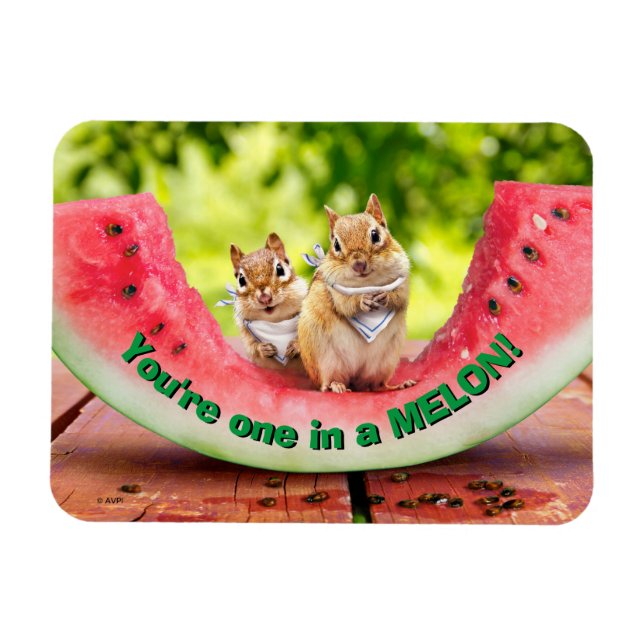 Ímã Chipmunks Eating Watermelon (Horizontal)