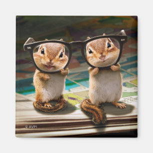Imã Chipmunks in Reading Glasses