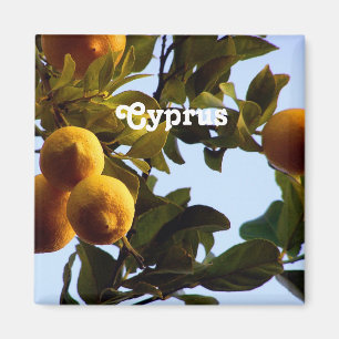 Imã Chipre Lemon Grove