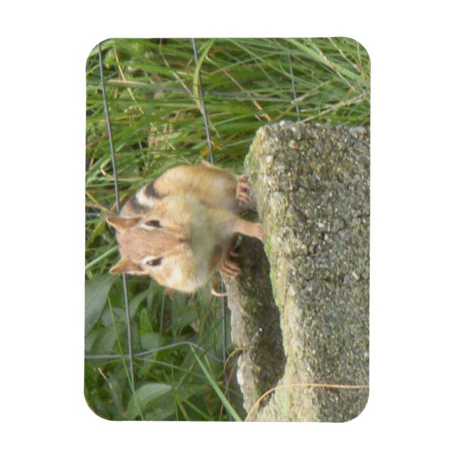 Ímã Chipset Cute (Vertical)