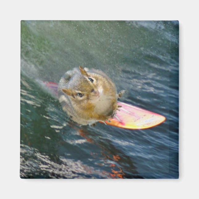 Imã Chipset de surf em forma de cuta (Frente)