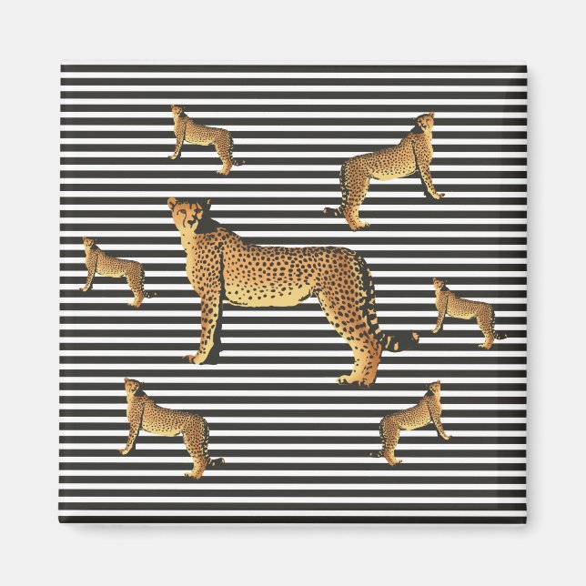 Imã Chita E Padrão De Stripe (Frente)