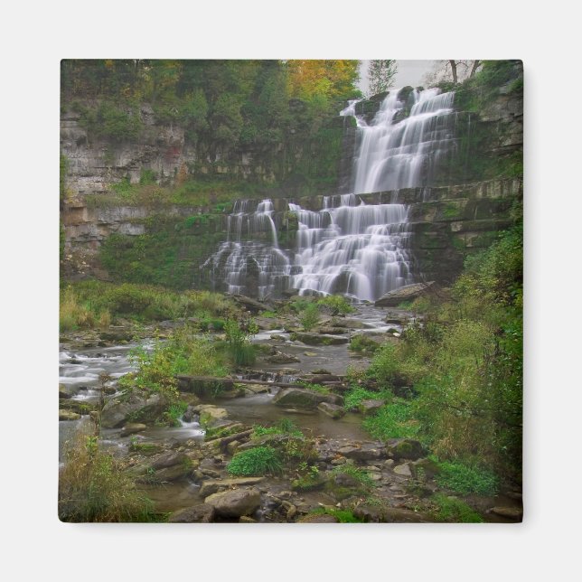 Imã Chittenango Falls (Frente)