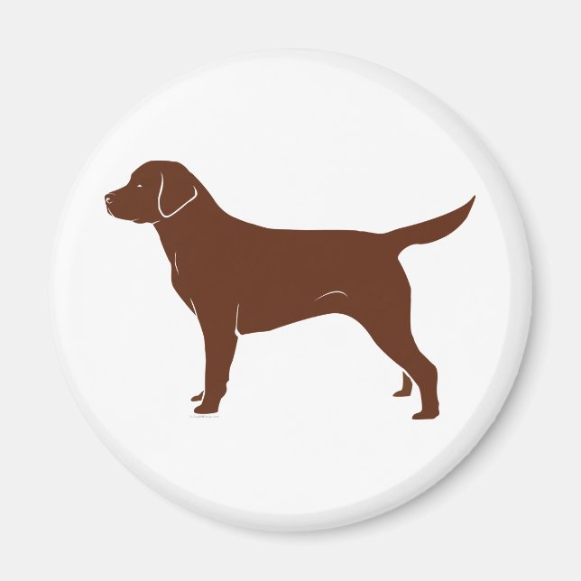 Imã Chocolate Brown Labrador Retriever (Frente)