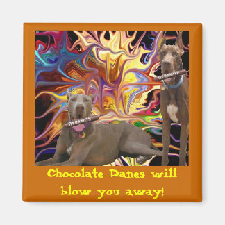Imã Chocolate Dane Blast