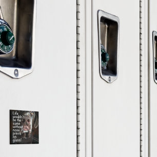 Imã Chocolate Lab Nose Fechar Fotografia