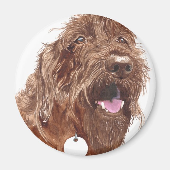 Imã Chocolate Labradoodle #1 Magnet (Frente)