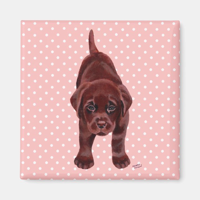 Imã Chocolate Labrador Puppy (Frente)