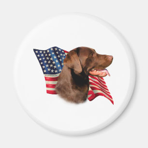Imã Chocolate Labrador Retriever American Flag