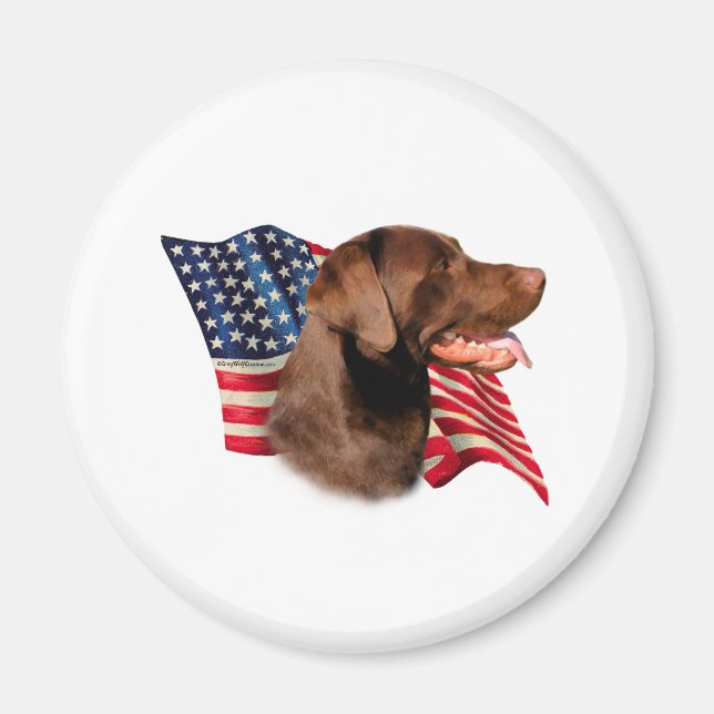 Imã Chocolate Labrador Retriever American Flag (Frente)
