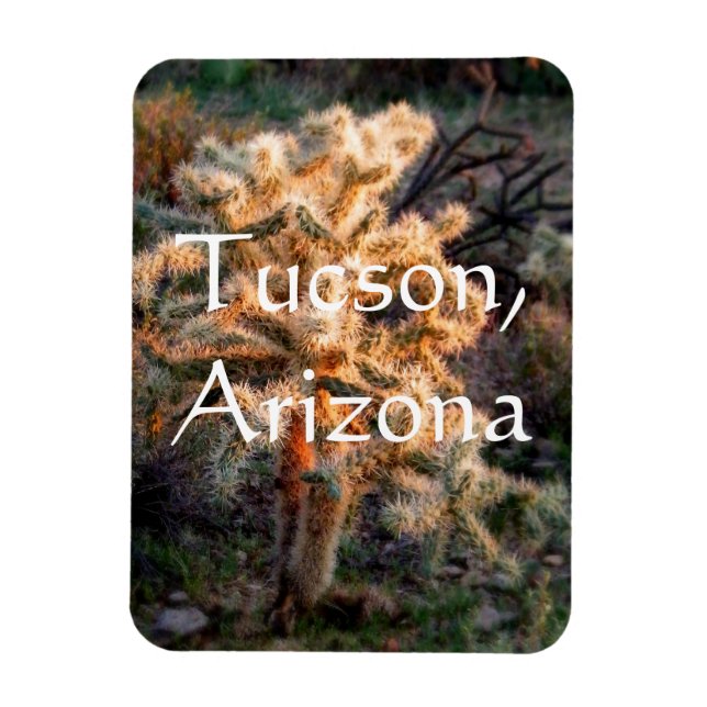 Ímã Cholla Tucson brilhante, Arizona (Vertical)