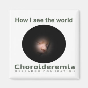 Imã Choroideremia como eu ver o mundo - ímã