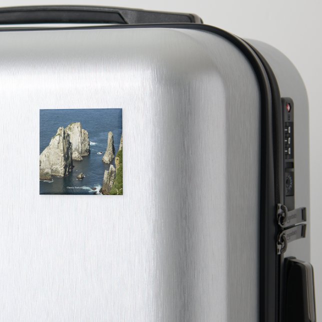 Imã Chowiet Seabird Colonies, Alasca (In Situ (Luggage))