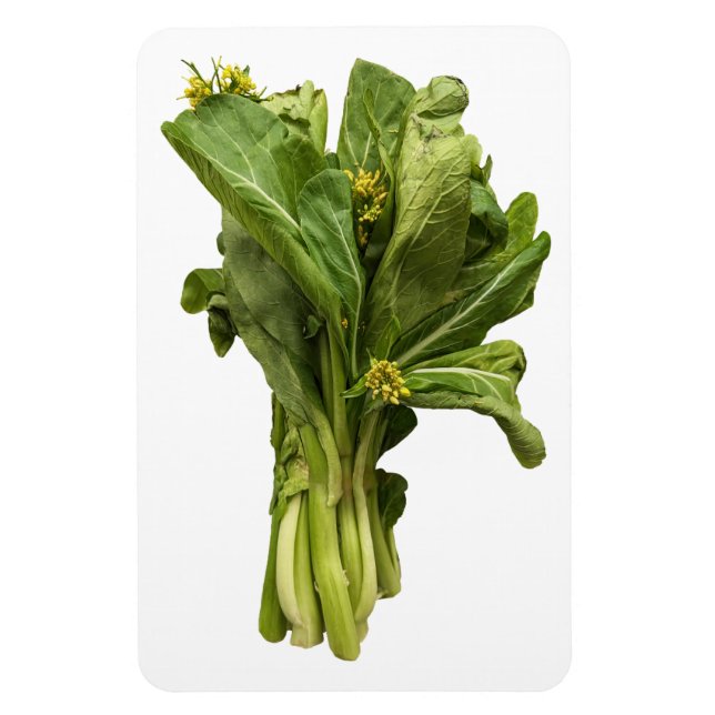 Ímã Choy Sum Photo Magnet (Vertical)