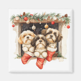 Imã Christmas Shih Tzu Dogs