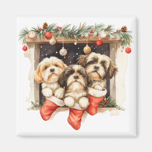 Imã Christmas Shih Tzu Dogs
